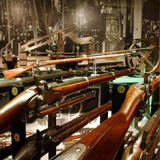 Case 15: Union Muskets and Rifles